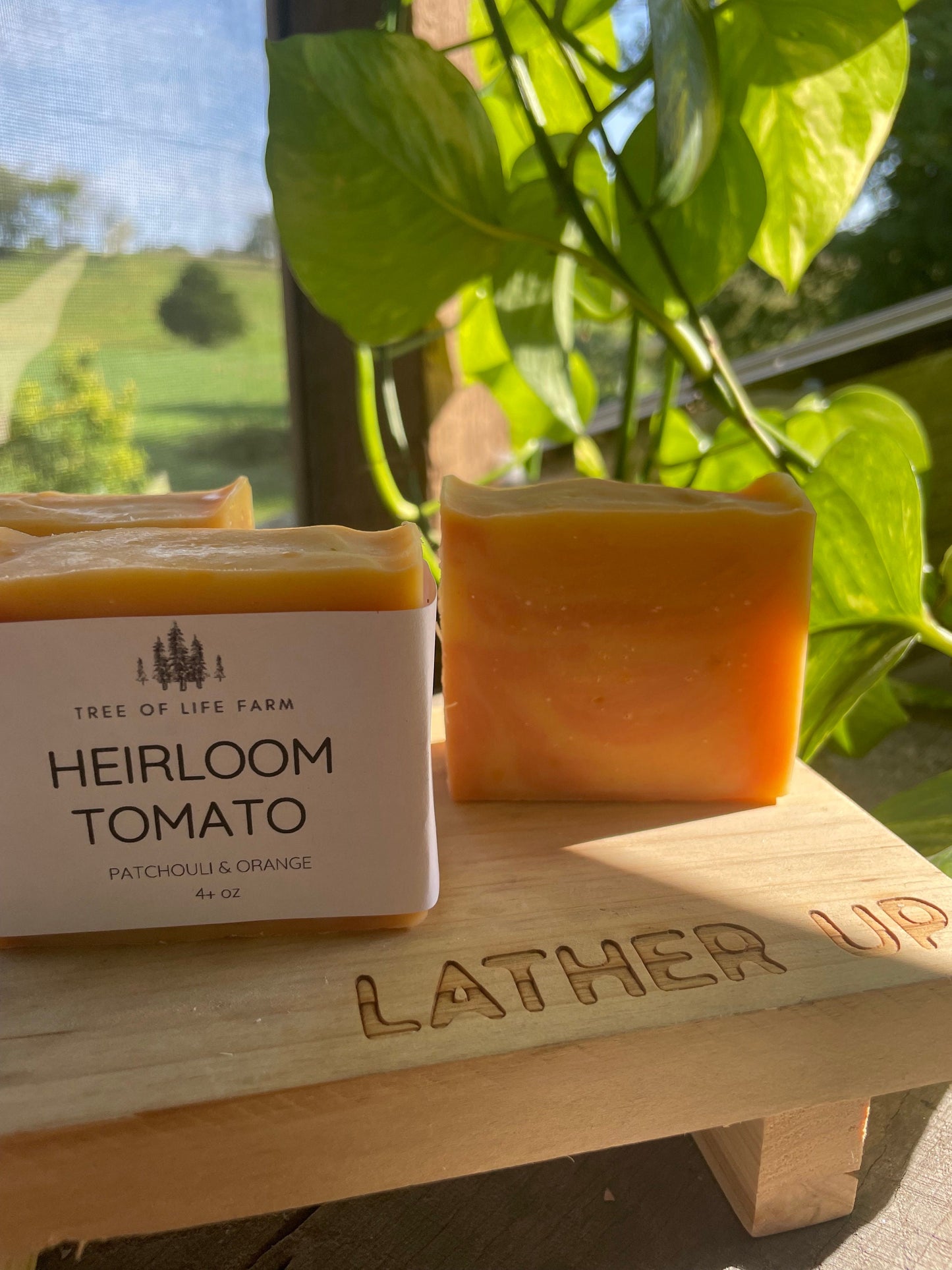 Patchouli Orange - Heirloom Tomato Soap Bar