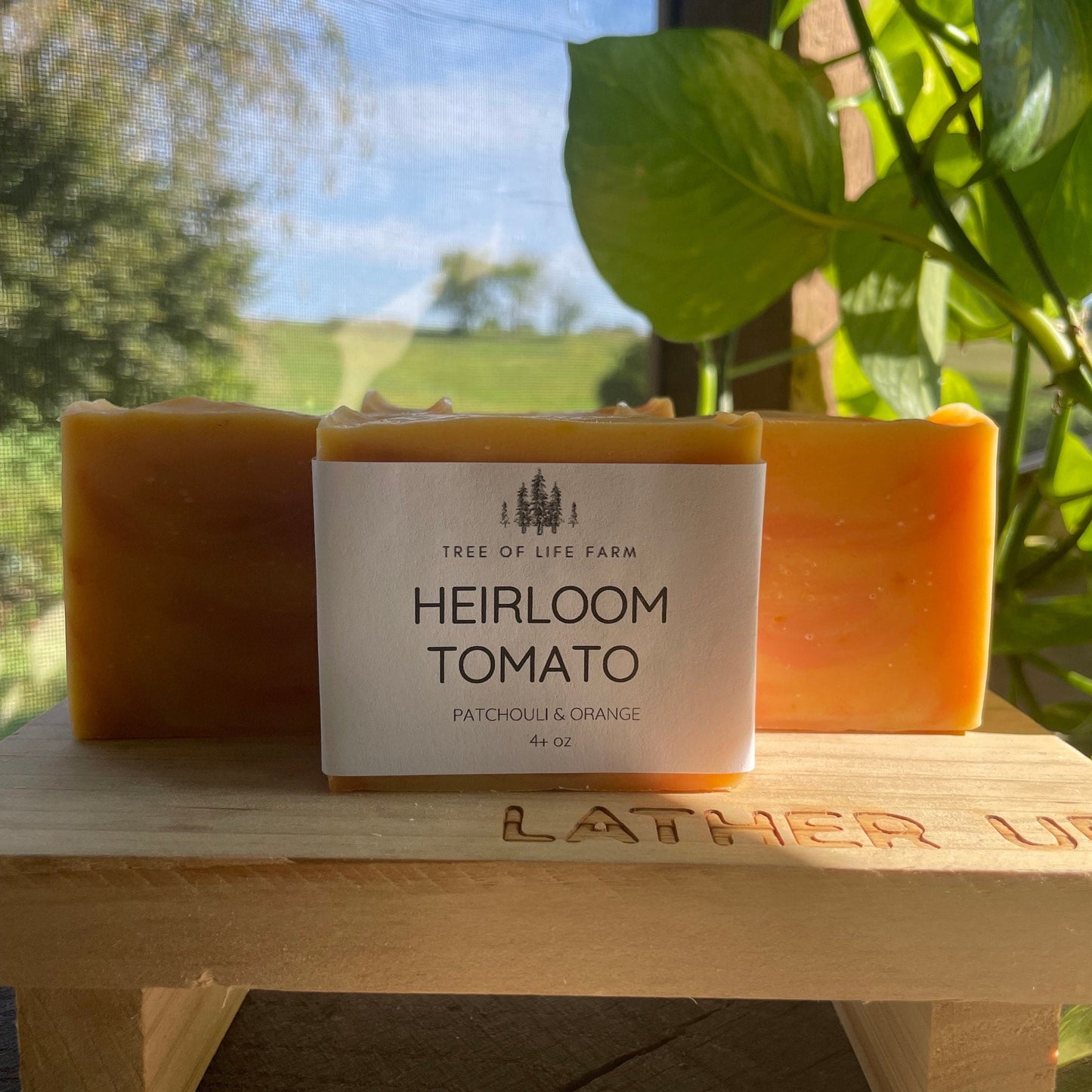 Patchouli Orange - Heirloom Tomato Soap Bar