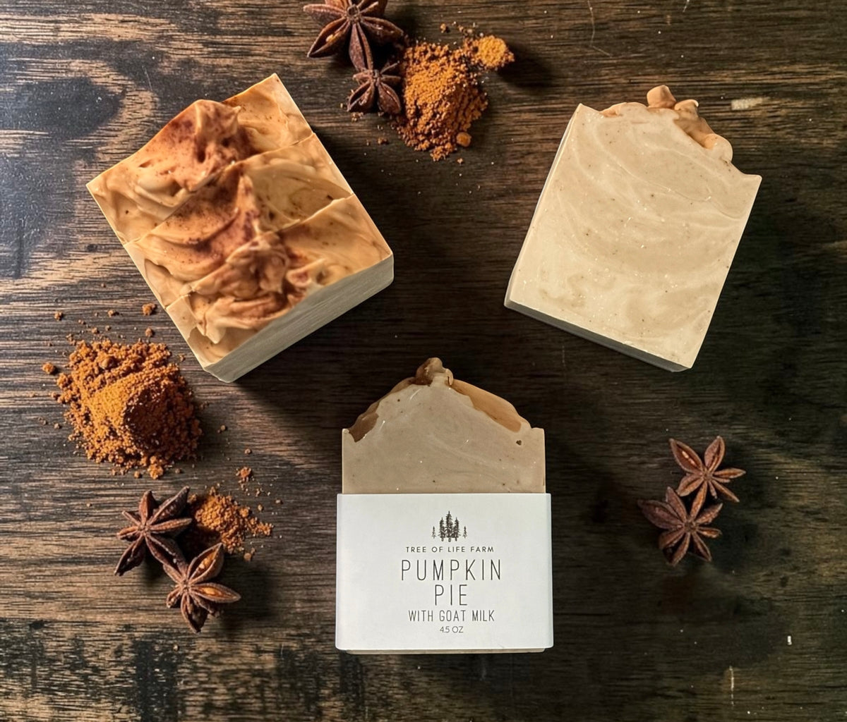 Pumpkin Pie Soap Bar with goat milk