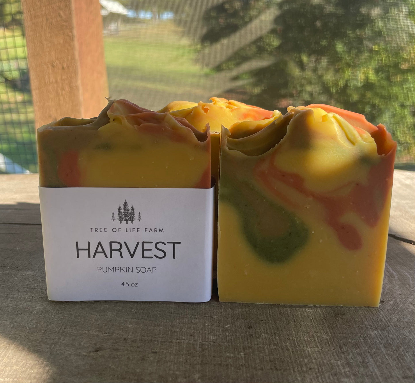 Harvest Pumpkin Soap Bar