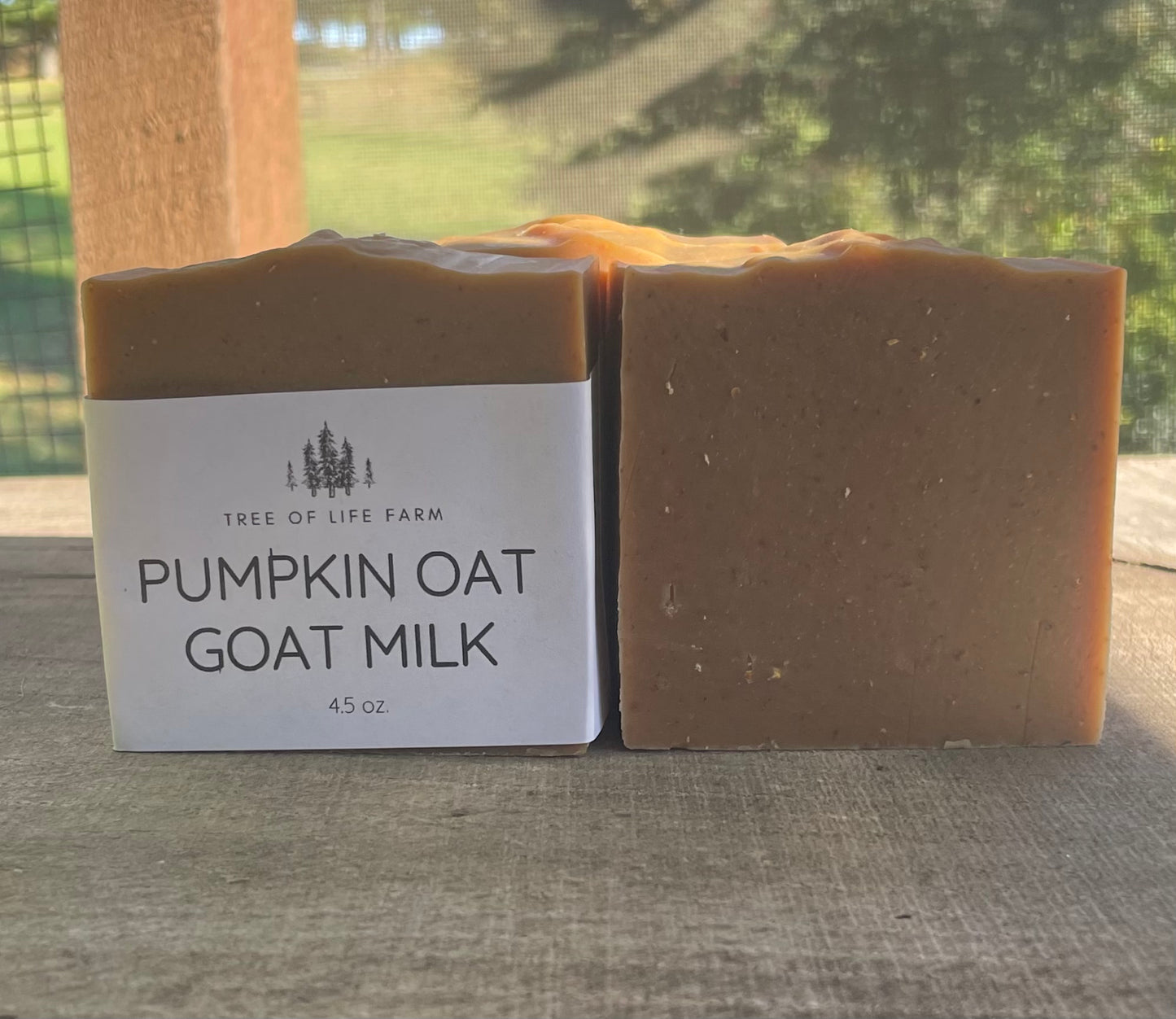 Pumpkin Oat Goat Milk Soap Bar