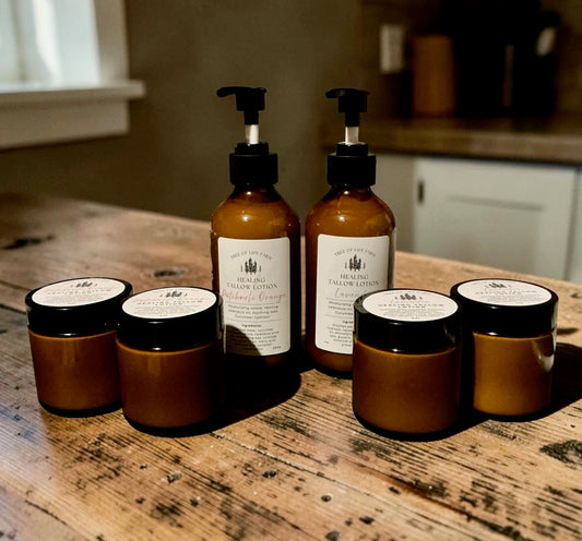 Healing Tallow Lotion