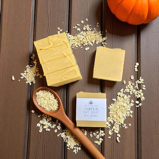 Cinnamon Oat Goat Milk Soap Bar