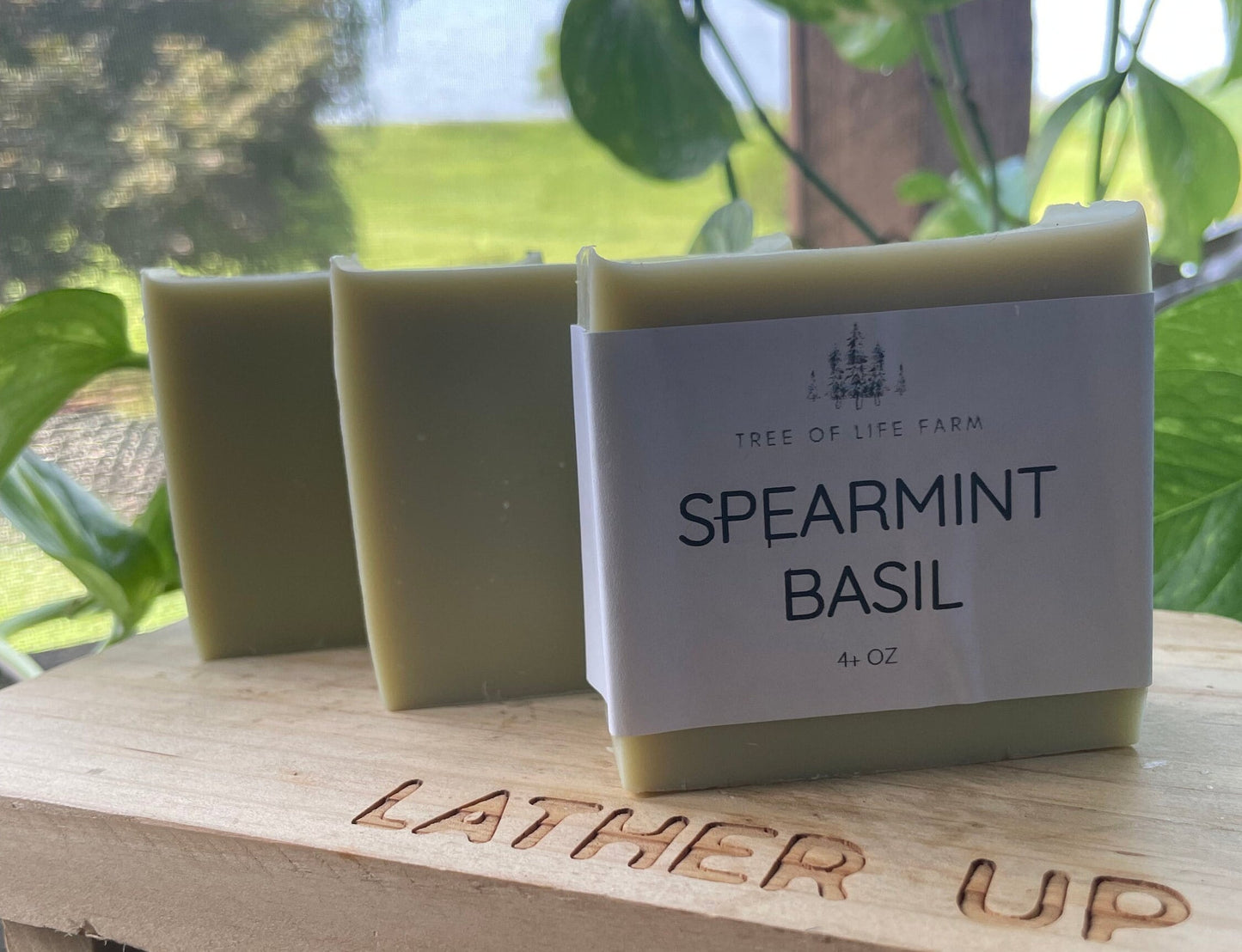 Spearmint Basil Soap Bar