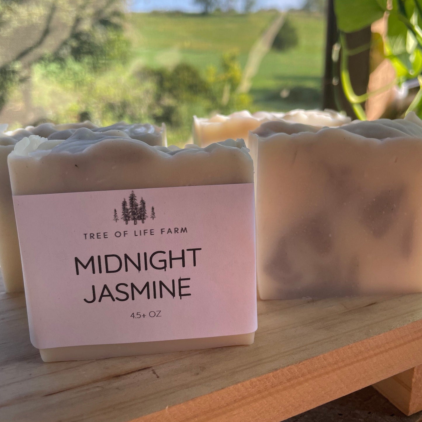 Midnight Jasmine Soap Bar